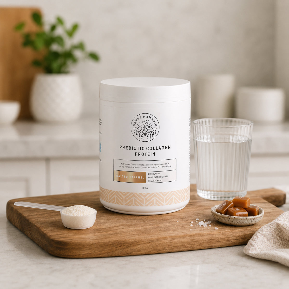 Prebiotic Collagen Protein